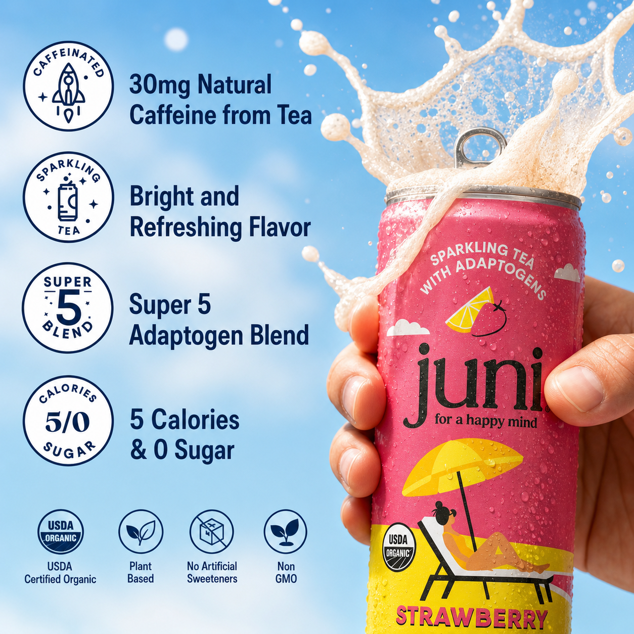 Summer Lemonade Variety Pack
