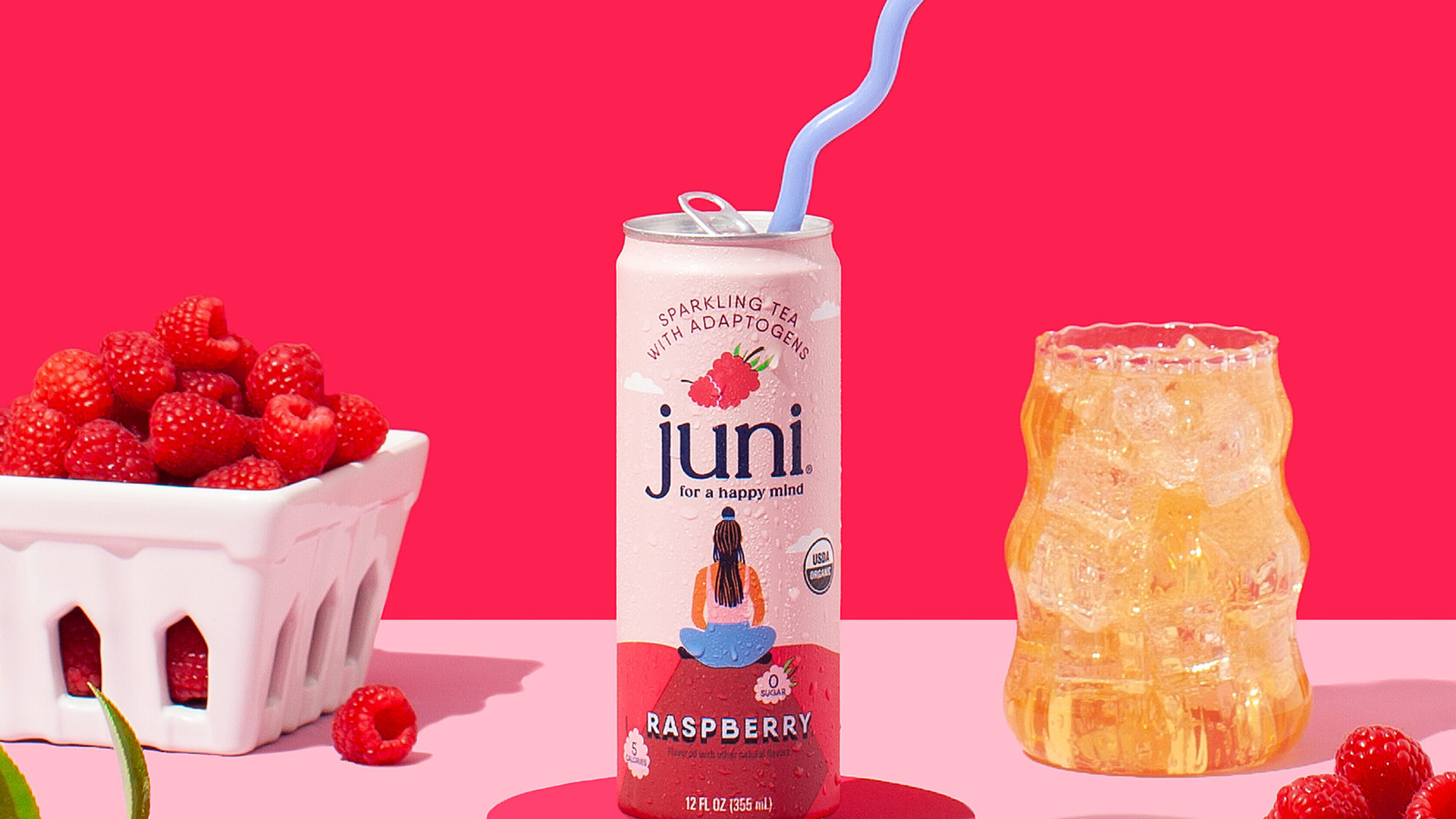 Juni Sparkling Tea | Cinnamon Apple Mocktail Recipe – Drink Juni