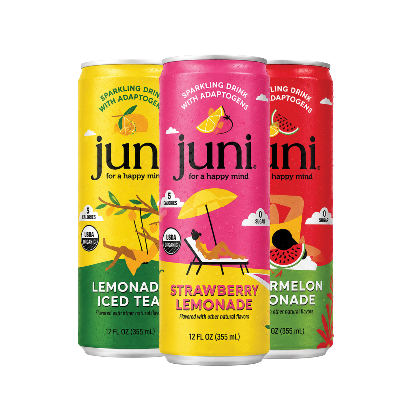 Summer Lemonade Variety Pack