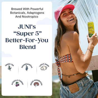 Summer Lemonade Variety Pack