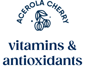 Juni Sparkling Tea | Crafted with a Blend of Adaptogens – Drink Juni