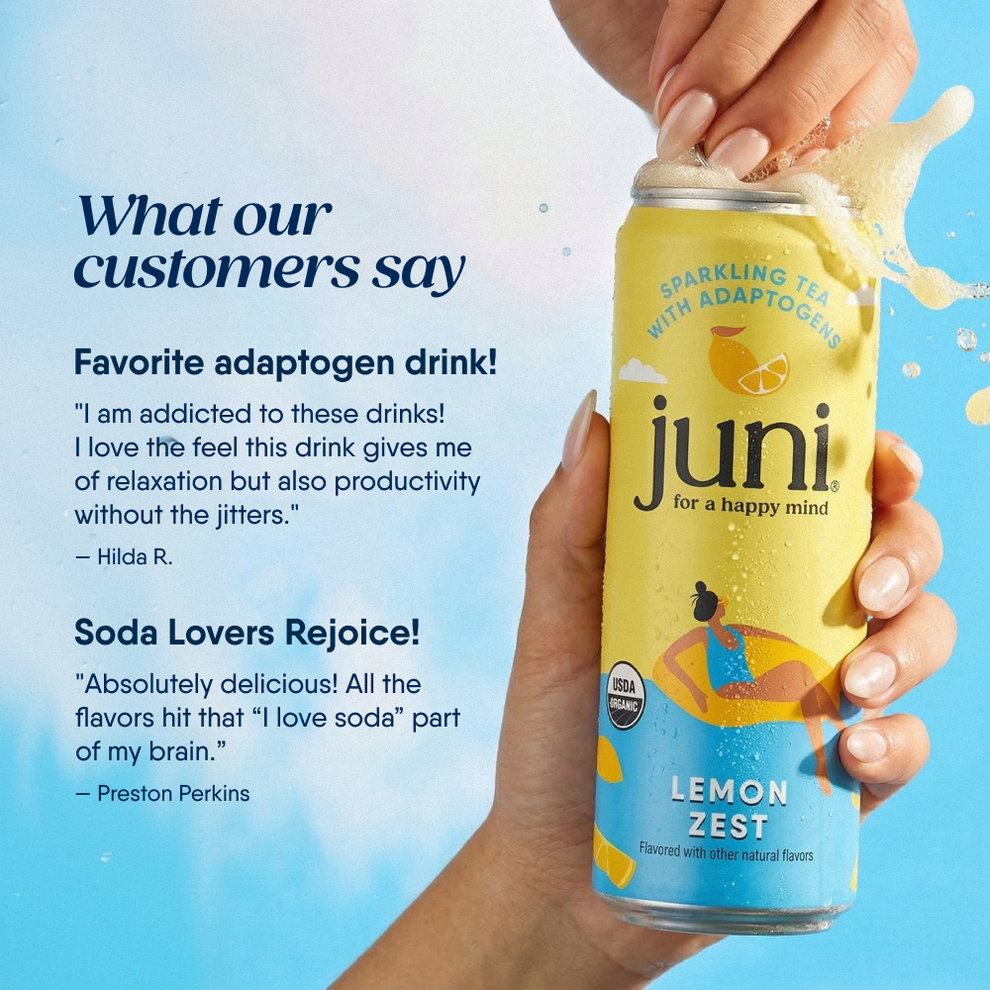 Juni Sparkling Tea with Adaptogens | Lemon Flavor | 12-Pack – Drink Juni