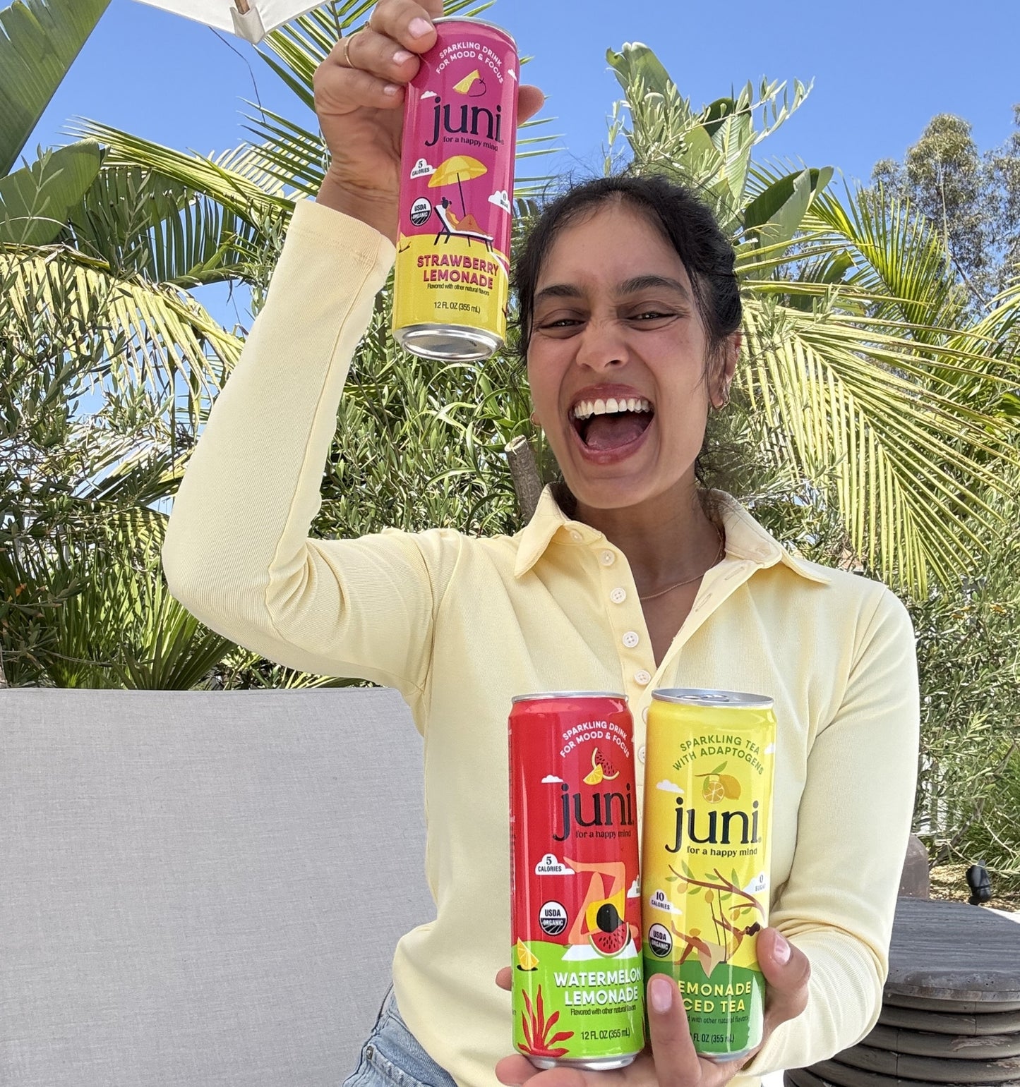 Summer Lemonade Variety Pack